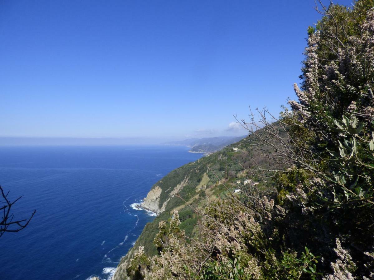 Casa Viviani Lägenhet Levanto Exteriör bild